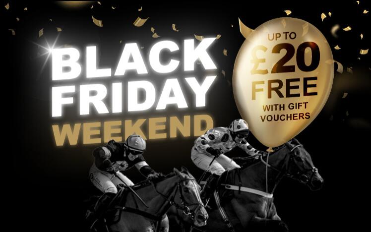 Treat someone with a black friday gift voucher to enjoy live horse racing at Fontwell Park Racecourse. A unique Christmas pre