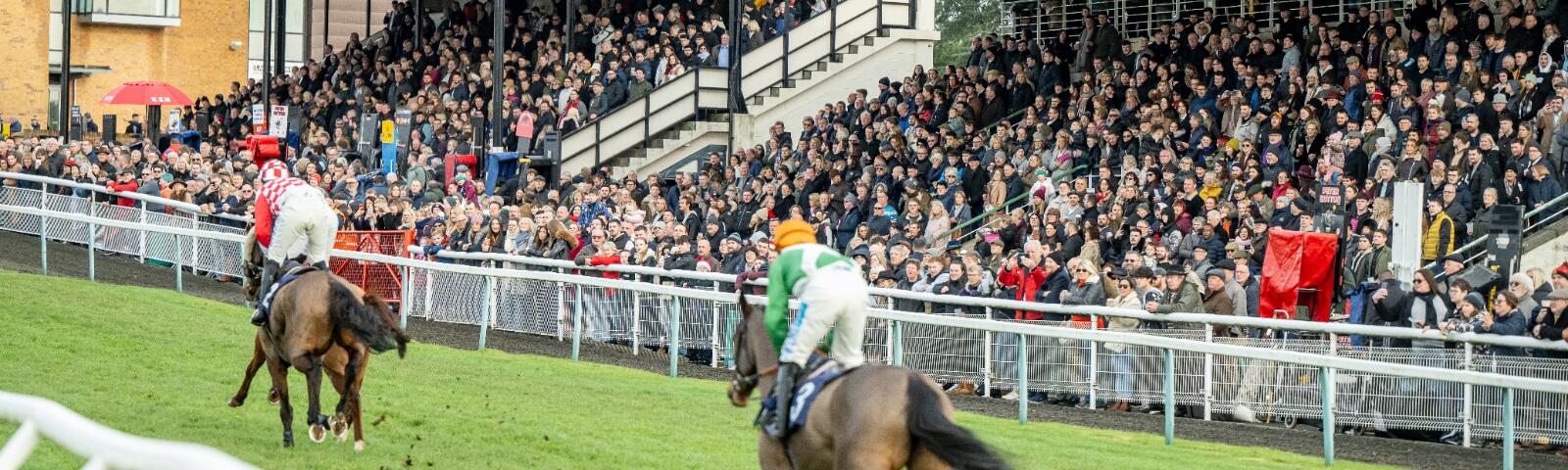 accessible to all jumps fontwell