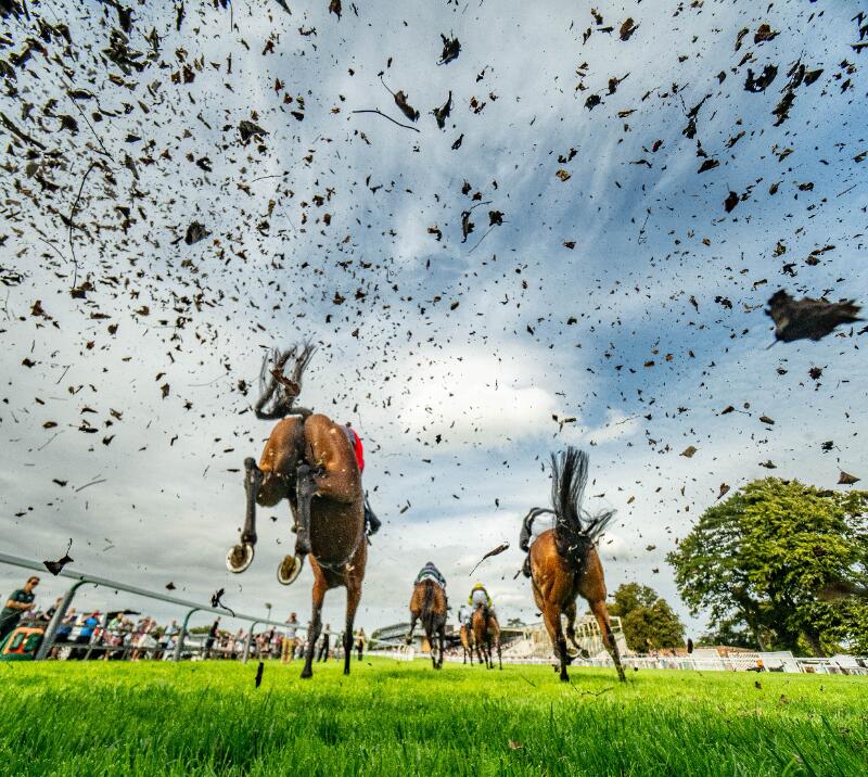 Dirt being kicked up in the air from horses on the track at Fontwell