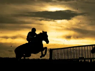 A silhouette of a horse and jockey going over a jump at Fontwell Park