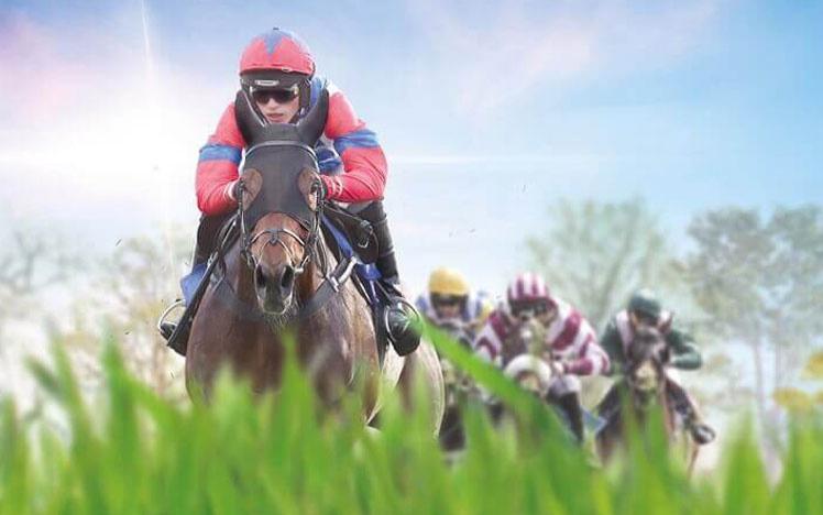 Jockeys racing at Fontwell Park.