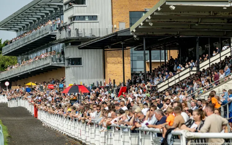 The crowd in the grandstands and on the hospitality balconies at Fontwell Park