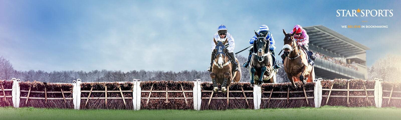National Spirit Hurdle at Fontwell Park
