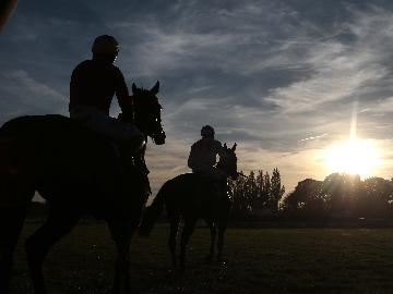 Spring Evening Racing at Fontwell Park