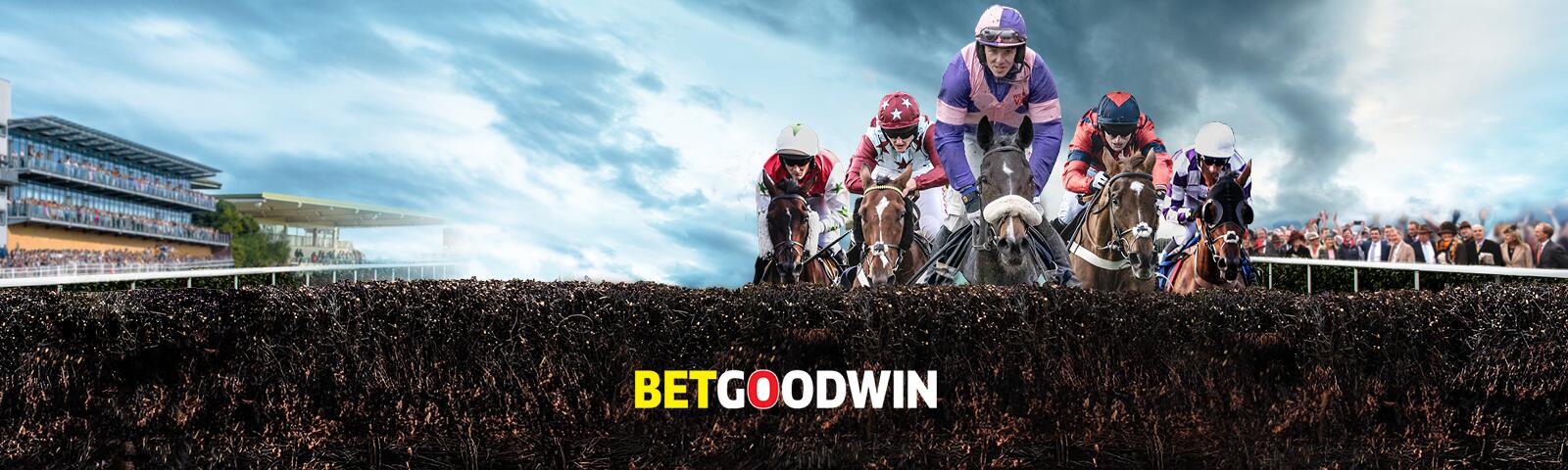 The Southern National at Fontwell Park, sponsored by Betgoodwin