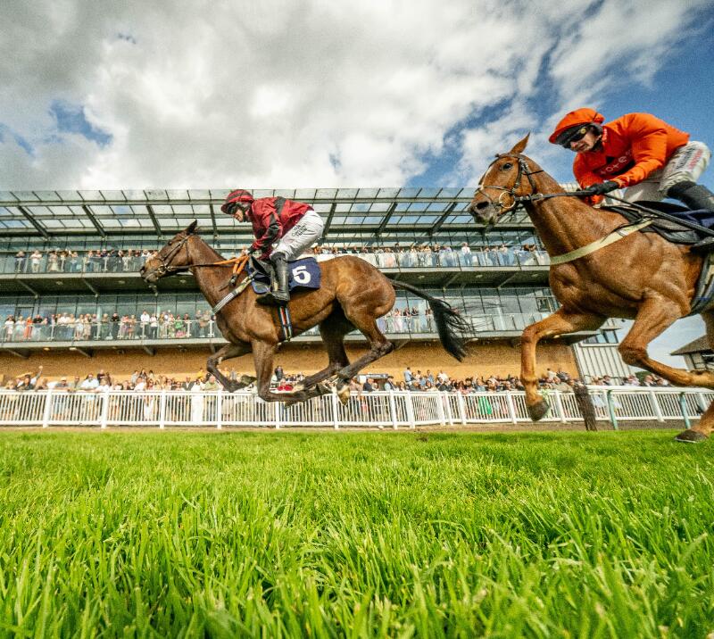 Horses racing along the turf track past the grandstands at Fontwell