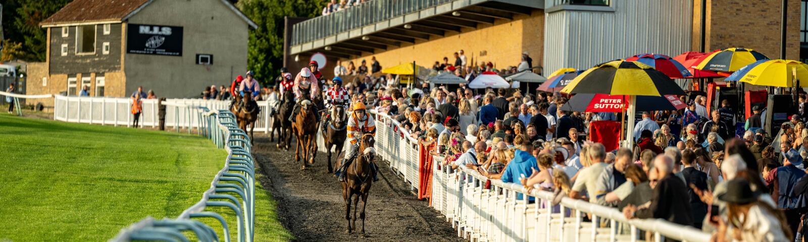 Horses heading out to the track past the bookmakers and crowd