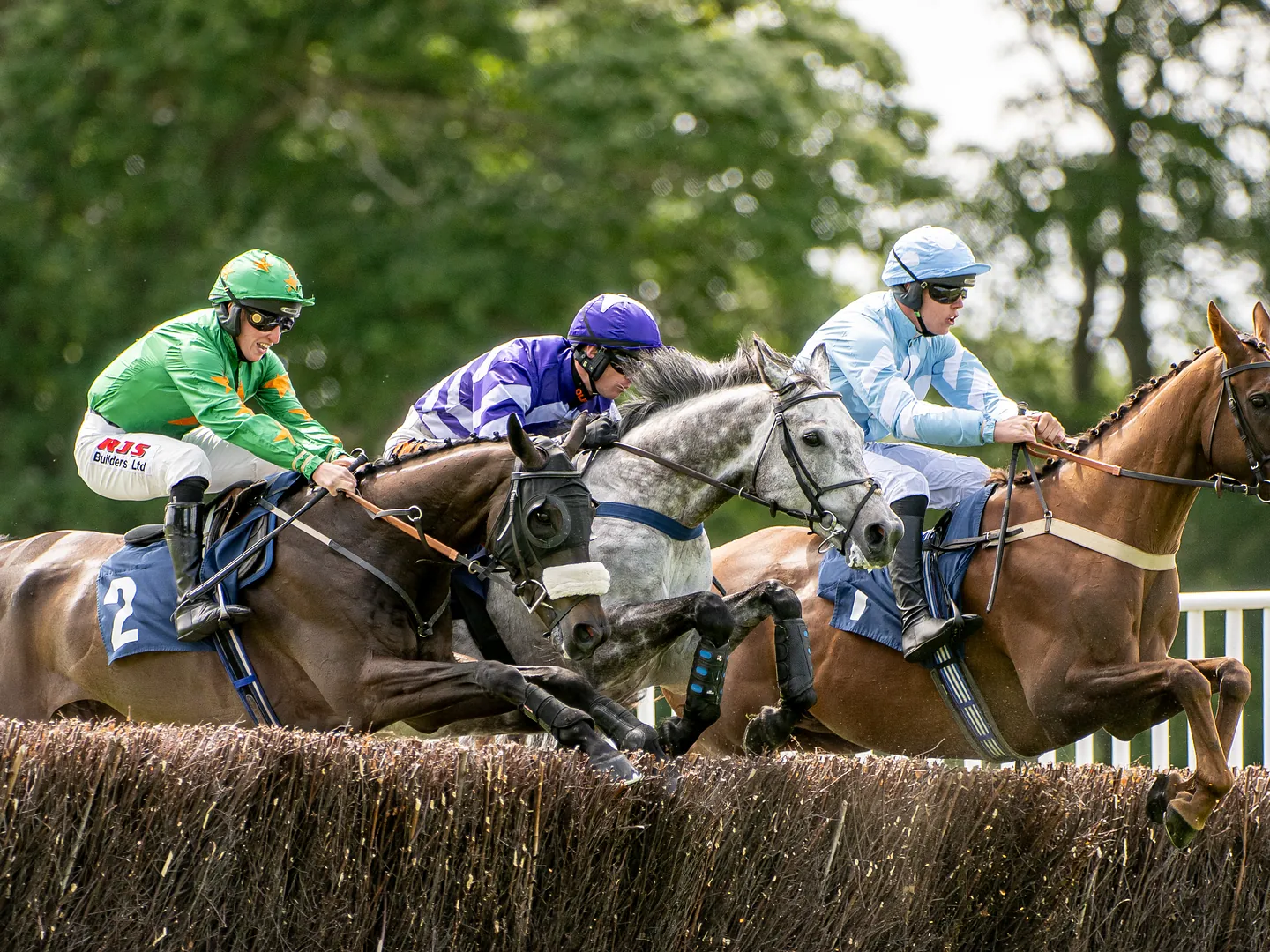 Autumn racing2026