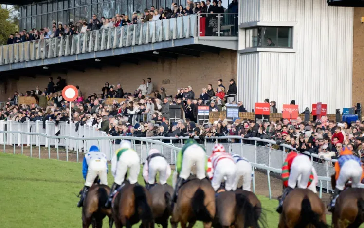 Horses ace towards the finish line, past the crowd and bookmakers
