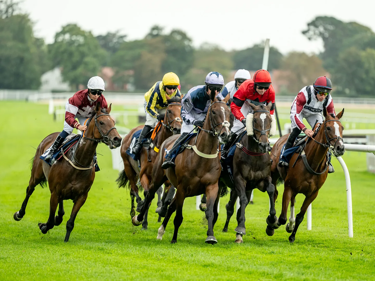 jumps racing fontwell