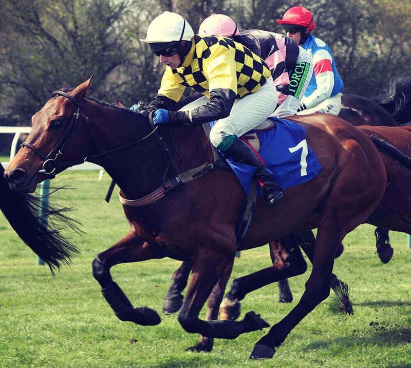 Group of jockeys racing at Fontwell Park Racecourse.