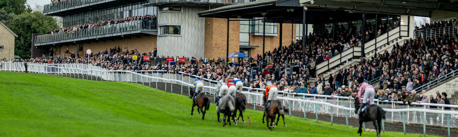 Fontwell Park Racecourse