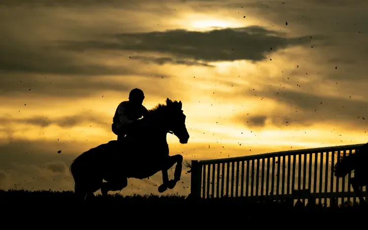 A silhouette of a horse and jockey going over a jump at Fontwell Park