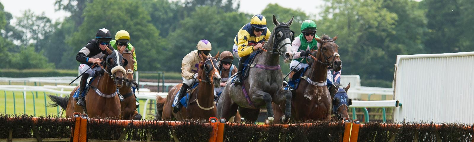Restaurants Open On Christmas Day 2022 Dillon Co Packages Fontwell Park Racecourse Restaurants Open On Christmas Day 2022 Dillon Co Packages Fontwell Park Racecourse