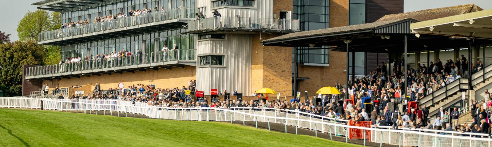 Crowds across the grounds at Fontwell Park and in the hospitality suites