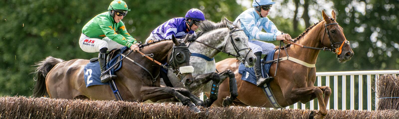 Jumps Racing Fontwell