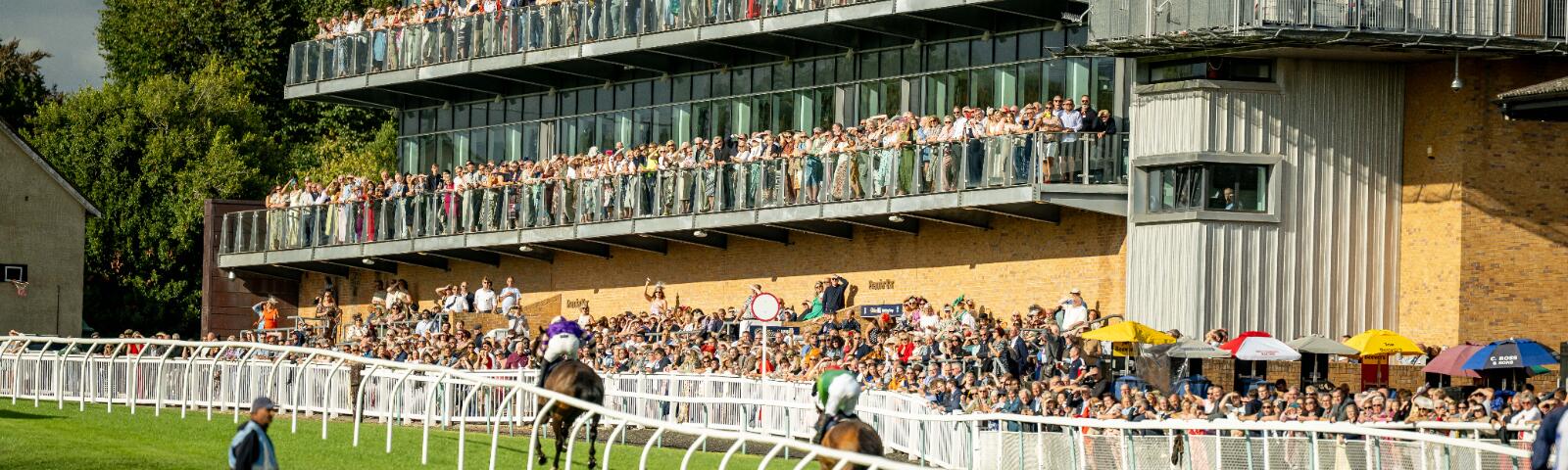 The packed hospitality balconies at Fontwell Park