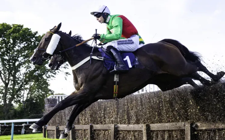 A horse elegantly taking on a jump at Fontwell Park