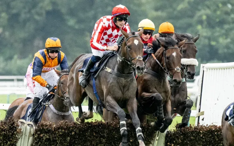 A group of horses taking on a jump at Fontwell Park