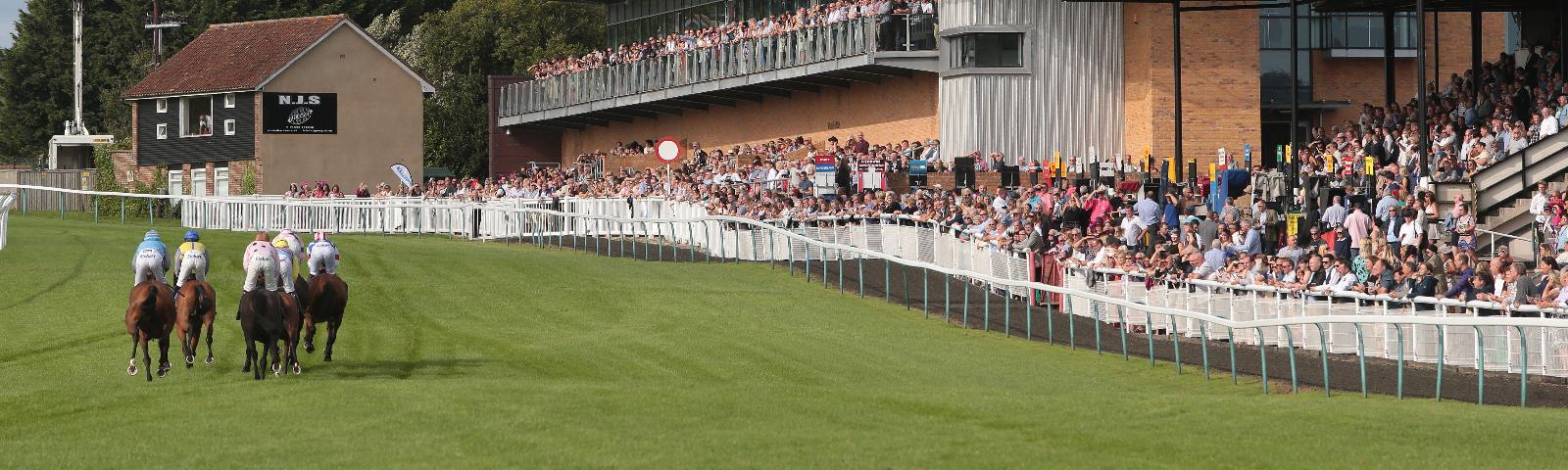 Summer Evening Racing at Fontwell Park