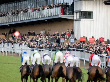 Horses ace towards the finish line, past the crowd and bookmakers