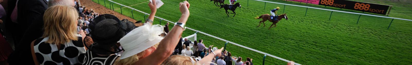 Race goers enjoying the view across the Fontwell track and cheering on their horse