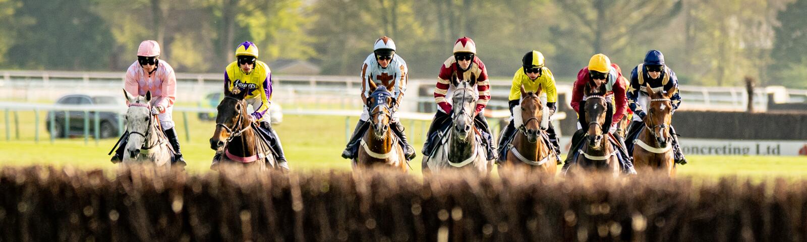Chase Southern National Horse Jumps Racing November Fontwell