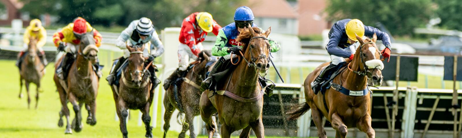 getting to fontwell racecourse